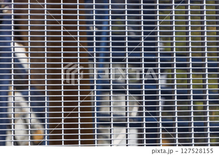 Metal Grating Platform with View Below Showing Industrial Site and Safety Structure Metal Grating Platform with View Below Showing Industrial Site and Safety Structure 127528155