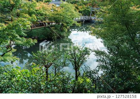 永観堂　放生池 127528158