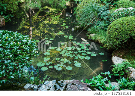 永観堂　古方丈の庭園 127528161
