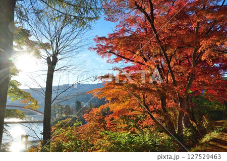 福満虚空蔵尊円蔵寺の紅葉（福島県） 127529463