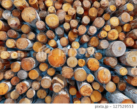 積み重ねられた木材 127529553