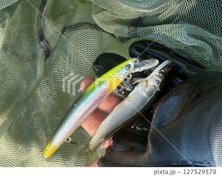 今シーズン初めての鮎ルアー 今シーズン初めての鮎ルアー 127529578