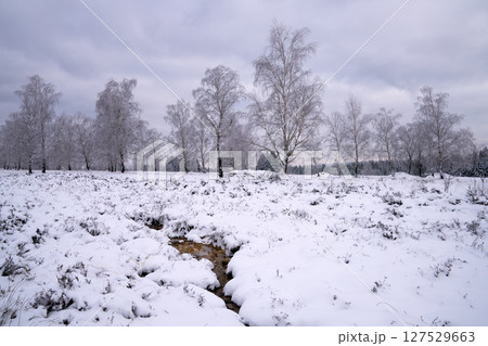 Eifel landscape, North Rhine Westphalia, Germany Eifel landscape, North Rhine Westphalia, Germany 127529663