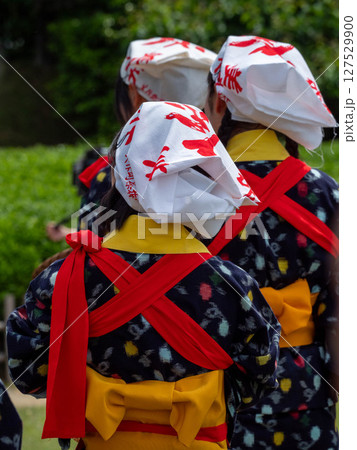 後楽園の茶摘み娘の後ろ姿 後楽園の茶摘み娘の後ろ姿 127529900