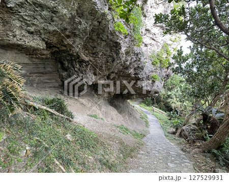 与那国島のティンダバナへの道 与那国島のティンダバナへの道 127529931