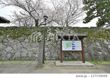 「佐賀の乱」の弾痕が残る佐賀城公園 「佐賀の乱」の弾痕が残る佐賀城公園 127530099