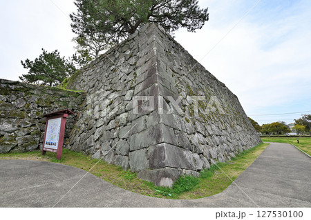 「佐賀の乱」の弾痕が残る佐賀城公園 127530100