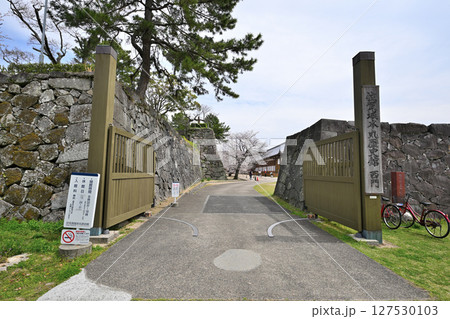 「佐賀の乱」の弾痕が残る佐賀城公園 「佐賀の乱」の弾痕が残る佐賀城公園 127530103