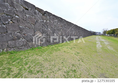 「佐賀の乱」の弾痕が残る佐賀城公園 「佐賀の乱」の弾痕が残る佐賀城公園 127530105