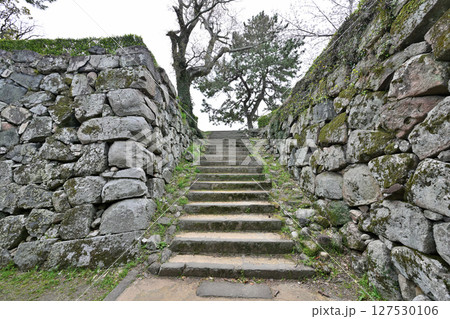 「佐賀の乱」の弾痕が残る佐賀城公園 「佐賀の乱」の弾痕が残る佐賀城公園 127530106