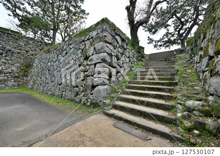 「佐賀の乱」の弾痕が残る佐賀城公園 「佐賀の乱」の弾痕が残る佐賀城公園 127530107