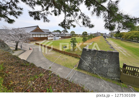 「佐賀の乱」の弾痕が残る佐賀城公園 「佐賀の乱」の弾痕が残る佐賀城公園 127530109