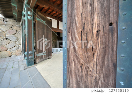 「佐賀の乱」の弾痕が残る佐賀城公園 127530119