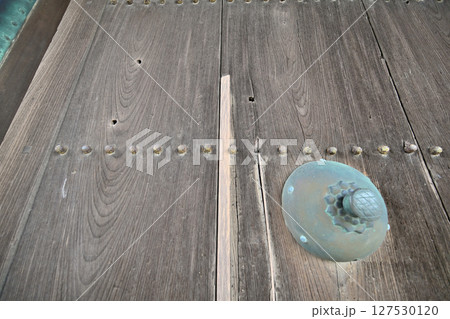 「佐賀の乱」の弾痕が残る佐賀城公園 「佐賀の乱」の弾痕が残る佐賀城公園 127530120