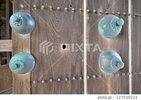 「佐賀の乱」の弾痕が残る佐賀城公園 「佐賀の乱」の弾痕が残る佐賀城公園 127530121