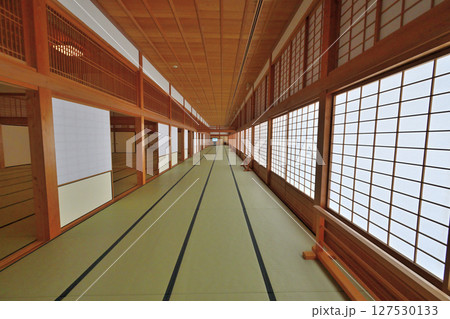 「佐賀の乱」の弾痕が残る佐賀城公園 「佐賀の乱」の弾痕が残る佐賀城公園 127530133