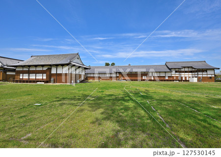 「佐賀の乱」の弾痕が残る佐賀城公園 「佐賀の乱」の弾痕が残る佐賀城公園 127530145