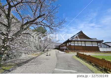 「佐賀の乱」の弾痕が残る佐賀城公園 「佐賀の乱」の弾痕が残る佐賀城公園 127530149