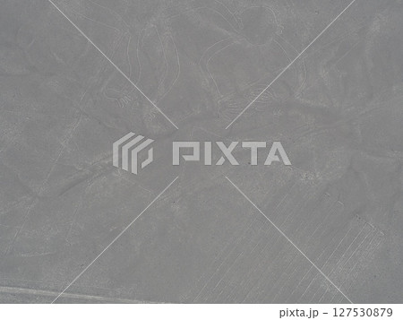 ナスカの地上絵 127530879