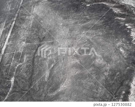 ナスカの地上絵 127530882