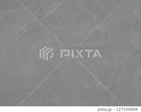 ナスカの地上絵 127530889