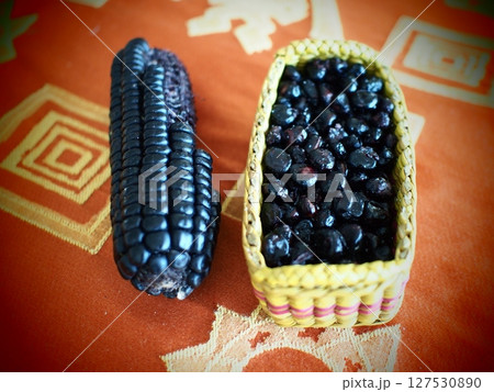 ナスカの地上絵 ナスカの地上絵 127530890