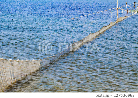 Fishing nets with white floats for fishing in the sea Fishing nets with white floats for fishing in the sea 127530968