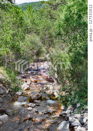 Mountain stream among rocks in coniferous pine forest, blurry water movement, vertical frame, bottom view Mountain stream among rocks in coniferous pine forest, blurry water movement, vertical frame, bottom view 127531012