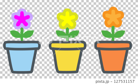 盆中盛開的花 127531157