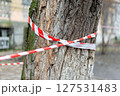 Close-up of a tree trunk with red and white caution tape wrapped around, situated outdoors in an urban setting, symbolizing warning or restricted area, conveying vigilance and safety measures. 127531483
