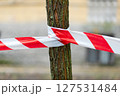 A close-up view of red and white striped caution tape wrapped around a tree trunk. The image captures the textured bark and provides an urban setting with a focus on restriction and safety. 127531484