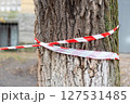 A close-up view of red and white striped caution tape wrapped around a tree trunk. The image captures the textured bark and provides an urban setting with a focus on restriction and safety. 127531485