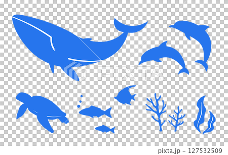 海の生き物のベクターイラスト素材。魚のアイコン、フレーム、装飾、背景。 127532509