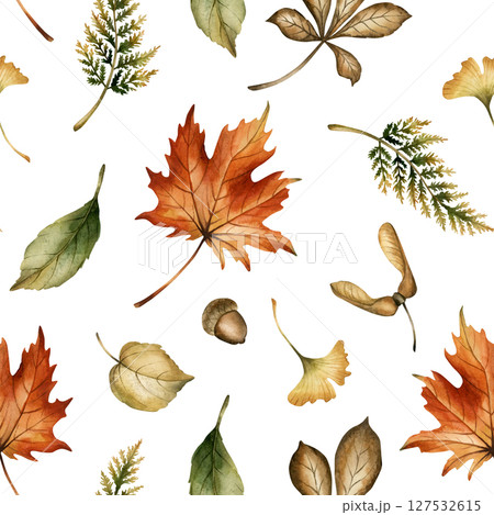 Autumn forest leaves, seeds and acorns. Watercolor hand painted floral seamless pattern on white background for fall forest design, cozy prints, cute home textile, wrapping paper, wallpaper, fabric Autumn forest leaves, seeds and acorns. Watercolor hand painted floral seamless pattern on white background for fall forest design, cozy prints, cute home textile, wrapping paper, wallpaper, fabric 127532615