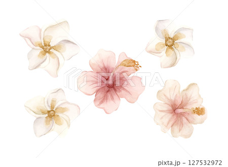 Plumeria Hibiscus Tropical Exotic Pink Flowers. African jungle rainforest plant. Watercolor hand painted summer floral isolated illustration on white background cute kids nursery design poster baby 127532972