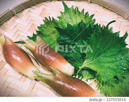 夏が旬の薬味野菜みょうがと大葉4 127533016