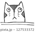猫 127533372