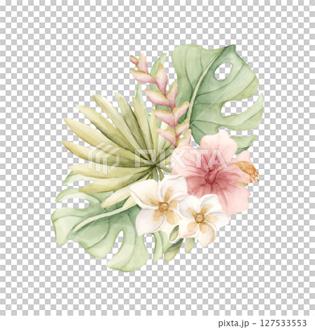 Tropical Hibiscus Plumeria Heliconia Monstera leaves. Exotic African jungle pink flowers plants. Watercolor hand painted summer floral isolated illustration on white background cute kids nursery baby 127533553