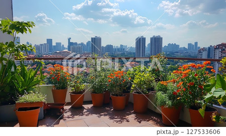 A rooftop garden with potted plants and a panoramic city view. A rooftop garden with potted plants and a panoramic city view. 127533606