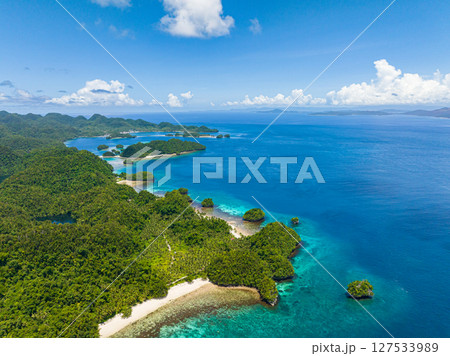 Coastline with white sand beach. Blue sea under blue skies. Seascape. Bucas Grande Island. Mindanao, Philippines. 127533989