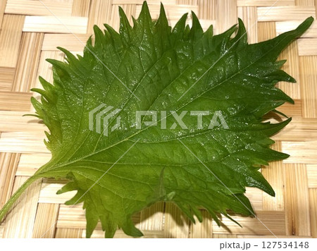 夏が旬の薬味野菜の大葉1 127534148