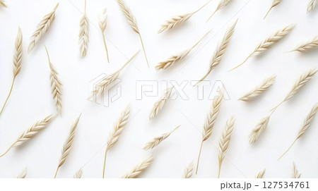 Wheat ears in elegant pattern on white background, top view, copy space 127534761