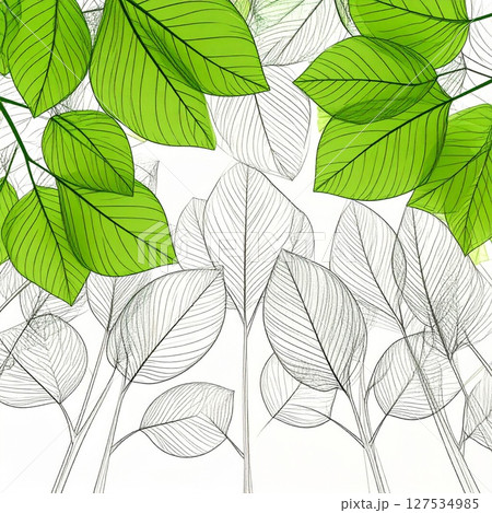 Green and White Line Art Leaves Illustration 127534985