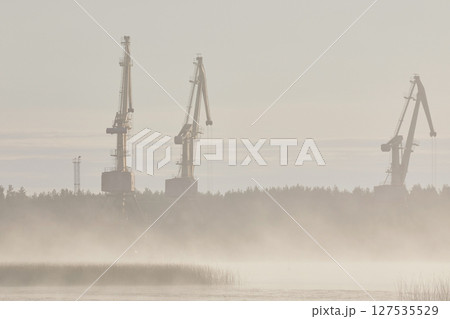 Three cargo cranes in a port in fog, close-up 127535529