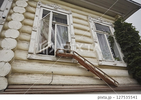 Stairs and balcony for walking the cat by the window Stairs and balcony for walking the cat by the window 127535541