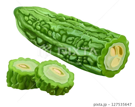 ゴーヤと輪切りのゴーヤ 127535647