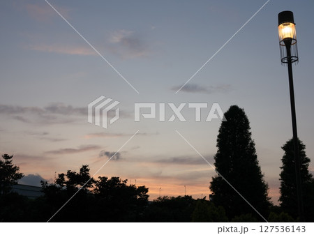 辰巳の森海浜公園からの夕日 辰巳の森海浜公園からの夕日 127536143