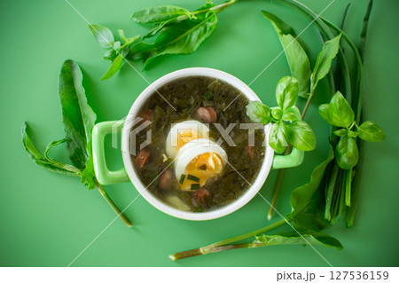 Top view of a plate of green borscht with egg and sorrel on a green background 127536159