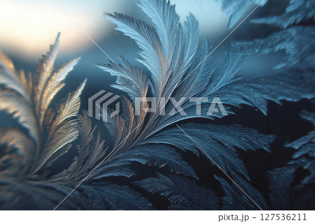 Frost patterns on window glass in cold winter light Frost patterns on window glass in cold winter light 127536211