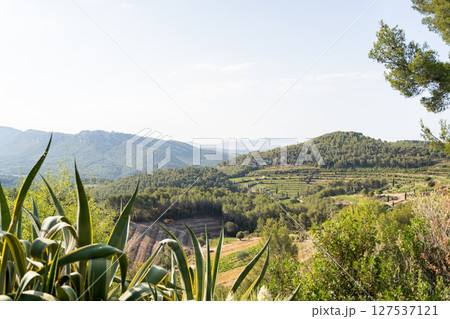 Picturesque view of rolling hills and vibrant greenery in the scenic landscape 127537121